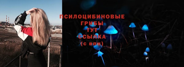 винт Михайловка